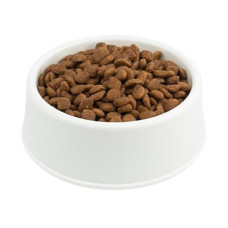 Paunchy Yetişkin Kuzulu Kedi Maması